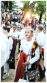 Pogled