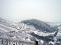 Zimski vinogra&hellip;