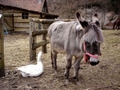 najbolji prija&hellip;
