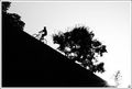 crawling up a &hellip;