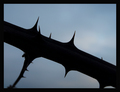 Evil side of a&hellip;