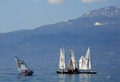klasa optimist