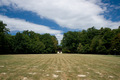 Maksimir 3161