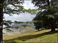 podinarje