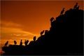Bloody Sunset &hellip;