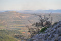Bribirska glav&hellip;