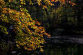 Sonnenbad