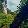 Kanjon Korane